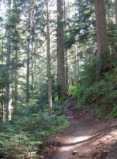photo of Helitrope Ridge Trail