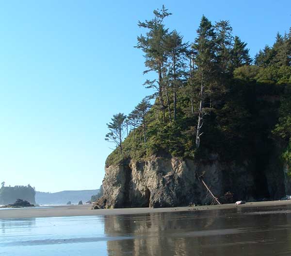 photo of beach and trees, Ruby Beach, Olympic National Park