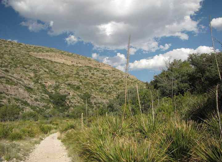 photo on McKittrick Canyon trail in Texas